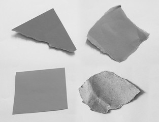 pieces of torn paper texture background, copy space.