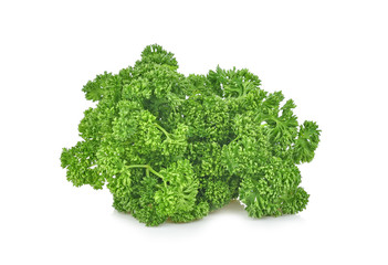 Obraz premium parsley isolated on white background