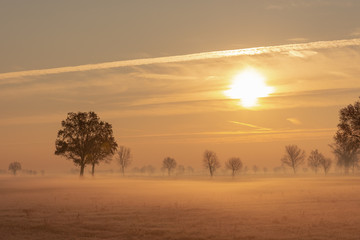 Fototapeta na wymiar morning light in winter