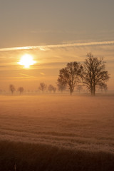 Fototapeta na wymiar morning light in winter