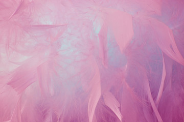 Abstract blue tone feathers background. Fluffy feather fashion design vintage bohemian style pastel texture.