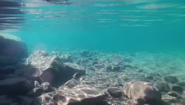 Underwater video of Lake Tahoe CA