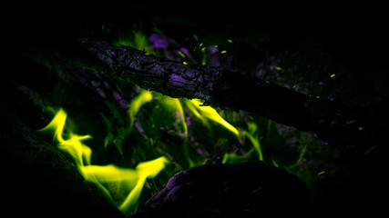 Campfire - Green Purple - Halloween