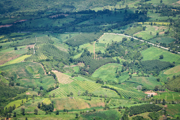Fototapeta na wymiar Top view green field agricultural area with road curve on the moutain / Landscape of farm countryside in Thailand Asia
