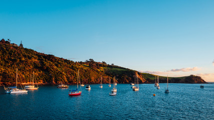 Waiheke Island, New Zealand