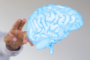 brain