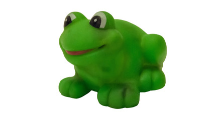 green frog rubber toy