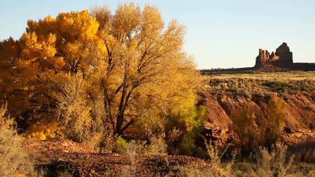 Arches National Park Autumn Foliage Near Tower Of Babel In Utah USA