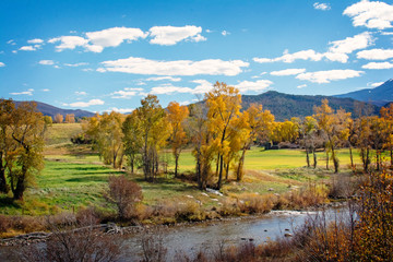 autumn landscape with trees and blue sky