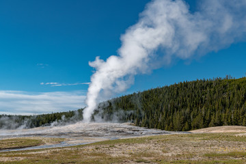Eruption of Old Faithful geyser at Yellowstone National Park USA