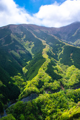 Fototapeta premium 行者還林道のナメゴ谷