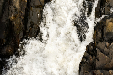 The Potomac running wild in one of its side beds