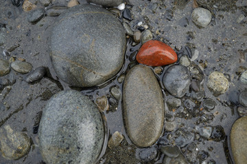 Red Rock on the Beach