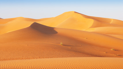 Dune Landscape in the Empty Quarter