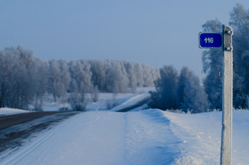 the road through snow trees
