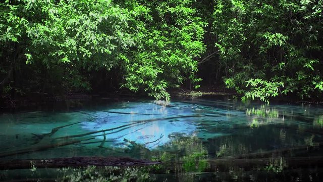 Cinemagraph of Sra Morakot Blue Pool at Krabi Province in Thailand. Famous Natural Attraction in Krabi