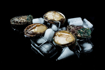 Abalone and ice cubes on black background