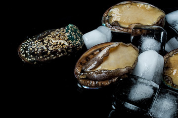 Abalone and ice cubes on black background