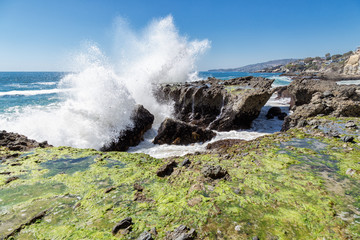 The Move of the Ocean