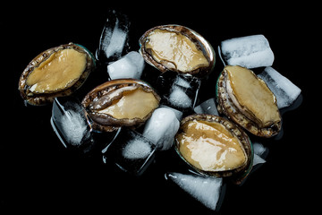 Abalone and ice cubes on black background