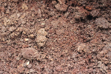 Soil texture background