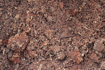 Soil texture background