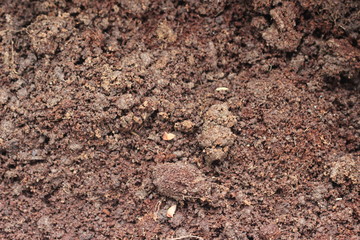 Soil texture background
