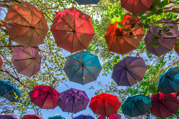 Colorful umbrella backgrounds, hanging decorations in trees, as a point of interest for customers...