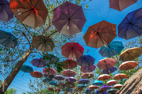 Colorful Umbrella Backgrounds Hanging Decorations In Trees As A Colorful Umbrella Backgrounds Hanging Decorations In Trees As A Point Of Interest For Customers To Take Pictures Often Seen Restaurants Or Cafes