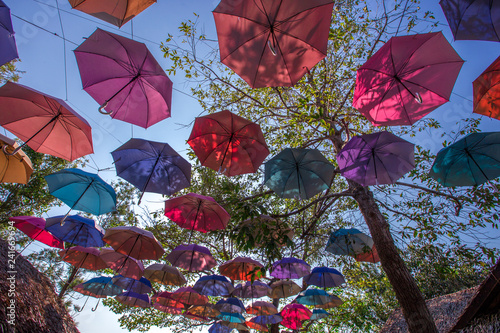 Colorful Umbrella Backgrounds Hanging Decorations In Trees As A Colorful Umbrella Backgrounds Hanging Decorations In Trees As A Point Of Interest For Customers To Take Pictures Often Seen Restaurants Or Cafes