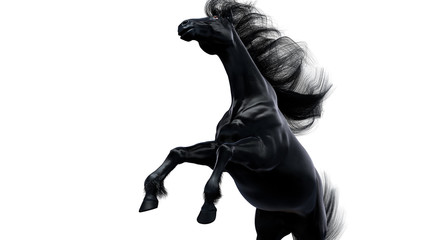 Black horse standing on white background isolated, 3d illustration