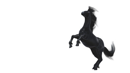 Obraz na płótnie Canvas Black running horse on white background, 3d illustration