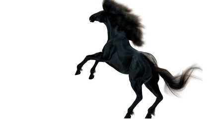 Fototapeta na wymiar Black running horse on white background, 3d illustration