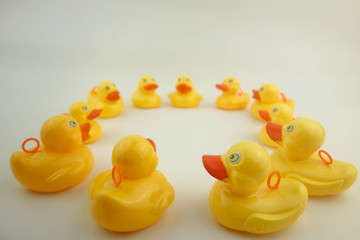 group of ducks.Meeting or discussion concept.