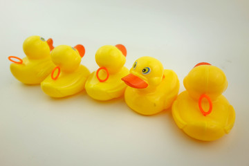 Group of duck. Leadership concept