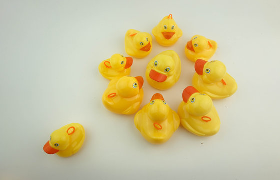 Group of rubber duck. Left the group concept.