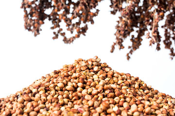 Stilt on white background