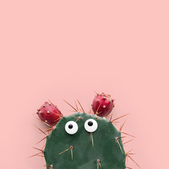 Funny face prickly pear cactus on a pastel pink background, prickly pear fruit, Opuntia ficus-indica
