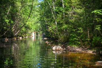 Channel of the lake-channel system of the Big Solovetsky Island on Solovki Island. Solovetsky archipelago, Arkhangelsk Region, Russia