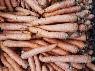 Fototapeta premium bunch of fresh carrots