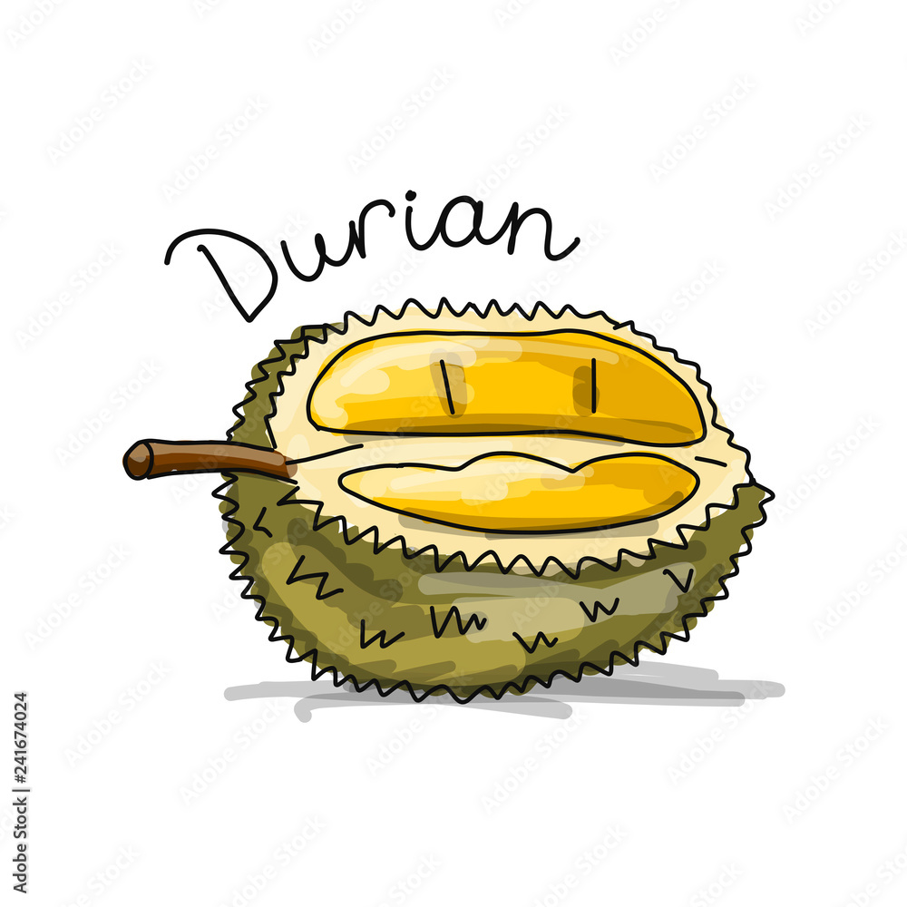 Sticker durian, sketch for your design