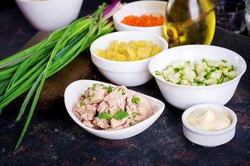 Ingredients for preparation salad of cod liver with eggs, cucumbers, potatoes and carrot in a bowls. 