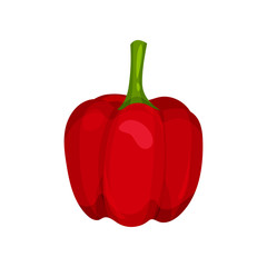 Bright red Bulgarian bell pepper. Fresh paprika. Organic product. Natural farm food. Ingredient for salad. Colorful illustration in flat style isolated on white background.