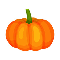 Ripe bright orange pumpkin. Natural and healthy food. Organic farm product. Ingredient for vegetarian dish. Cartoon vector design.
