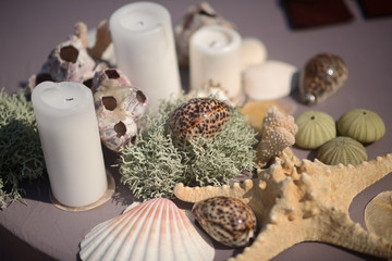 Fototapeta na wymiar a composition of candles, shells and corals