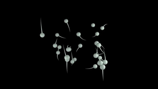 Sperm movement on a black background. Leadership. Fertilization. 3D animation