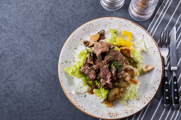Grilled  veal  with vegetables. Tasty beef salad.  Top view. Copyspace