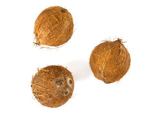 coconut isolated on white