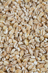 pearl barley isolated on white backrgound