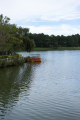 pedal boat on the lake